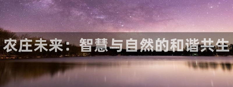 fh至尊平