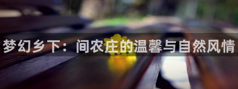 FH至尊招商