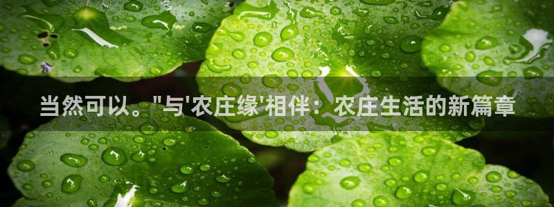Fh至尊凤凰平台