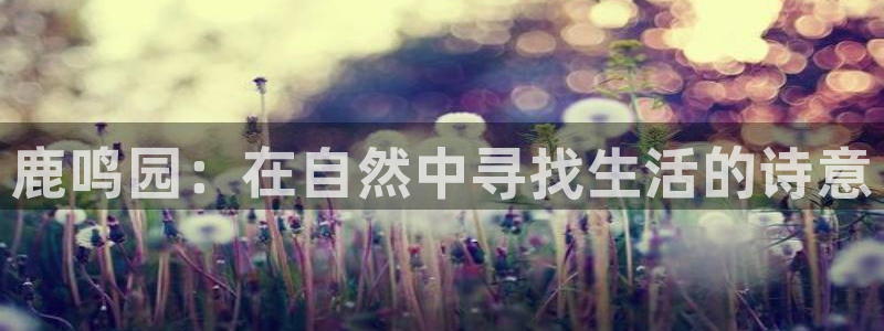 FH凤凰至尊娱乐