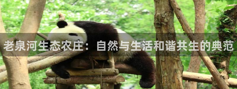 fh至尊游戏玩法