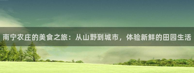 fh至尊平台多少年了