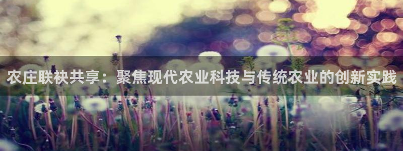 FH至尊公安