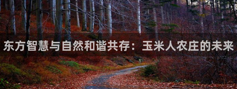 fh至尊是老凤凰平台么