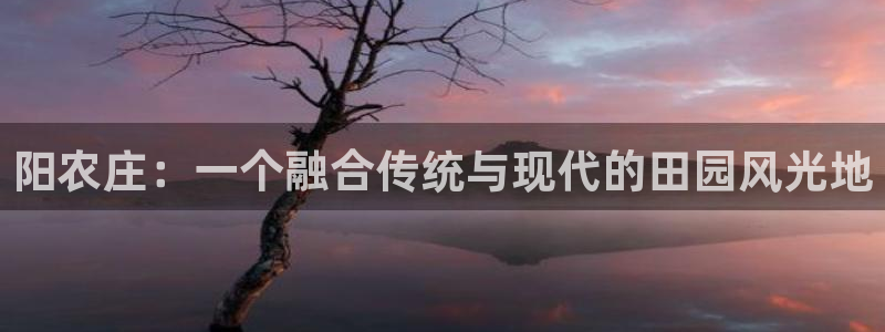 FH至尊开户链接