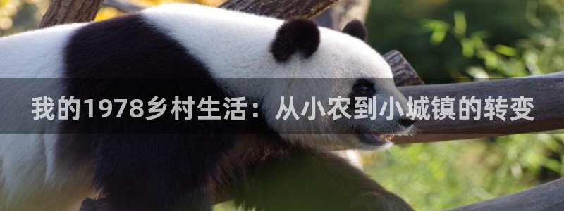 FH至尊娱乐平台