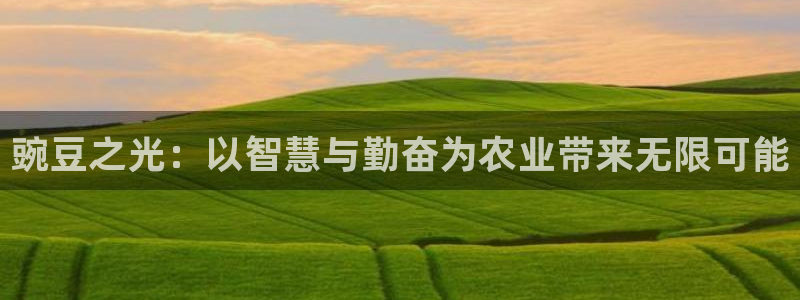 fh至尊20