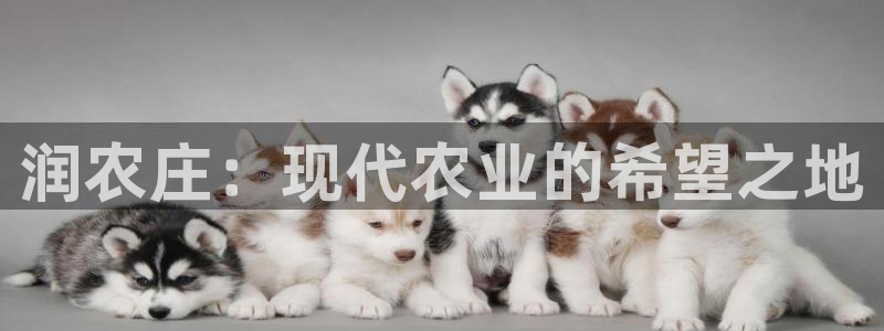 fh至尊手机端进不去