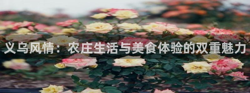 FH至尊怎么样