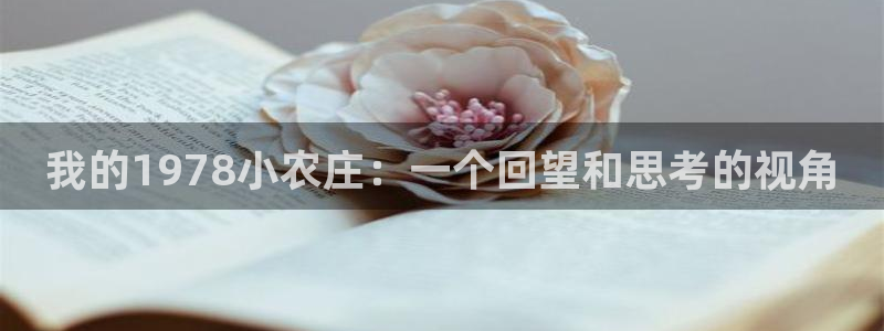 FH至尊招商