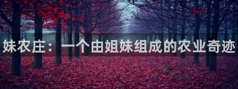 FH至尊登录官网