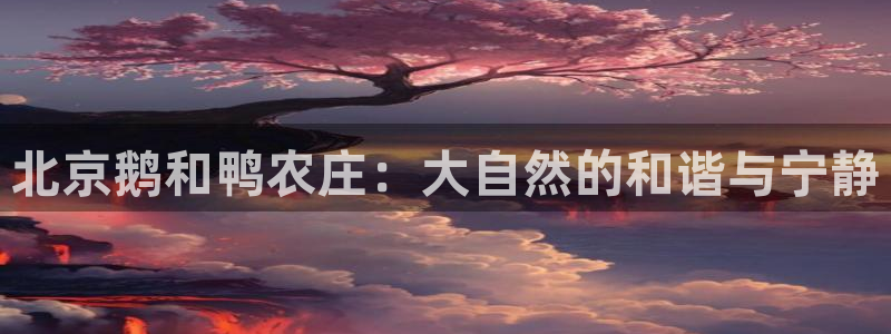fh至尊app靠谱吗