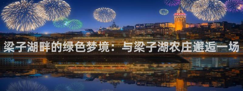 fh至尊是老凤凰吗