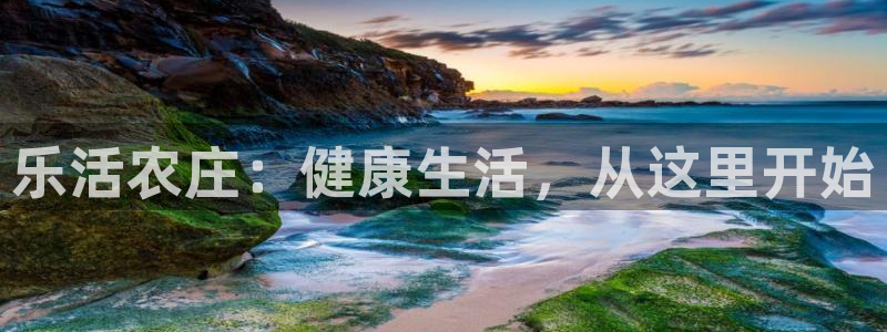fh至尊提现不了