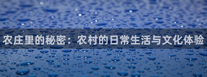 沃尔沃fh500至尊款