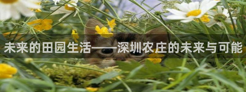 fh至尊安全吗