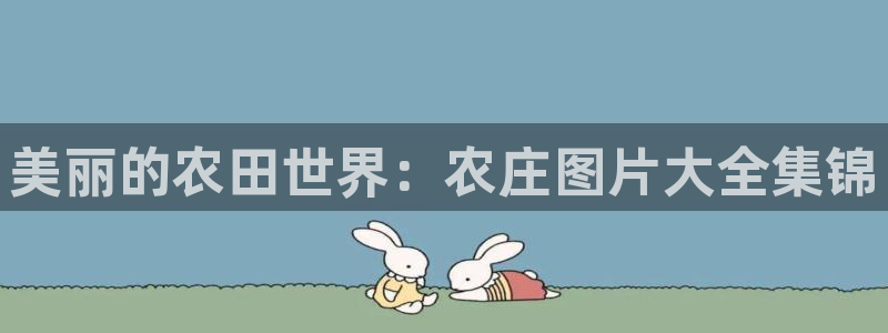 FH至尊VIP
