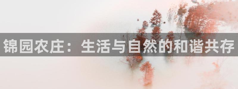 fh至尊是什么平台