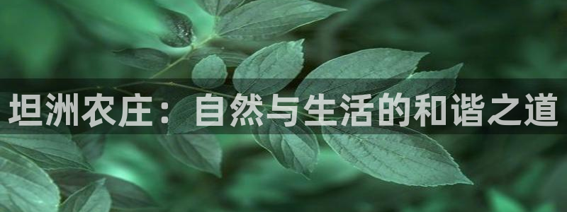 FH至尊开户