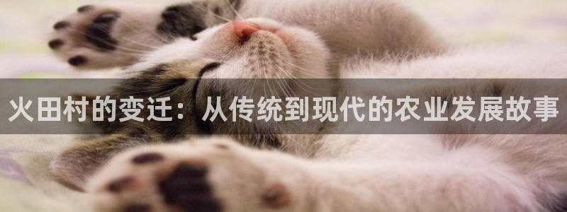 fh至尊游戏模式