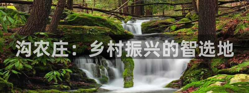 fh至尊正常登录