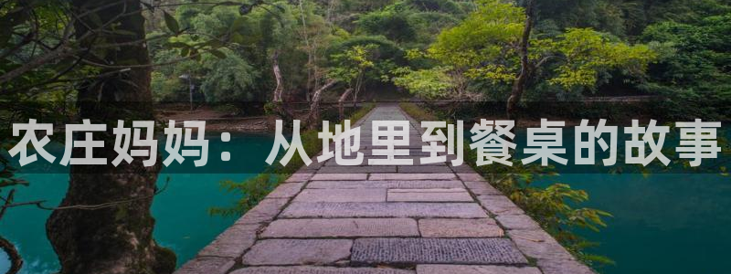 FH至尊属于哪里啊公司