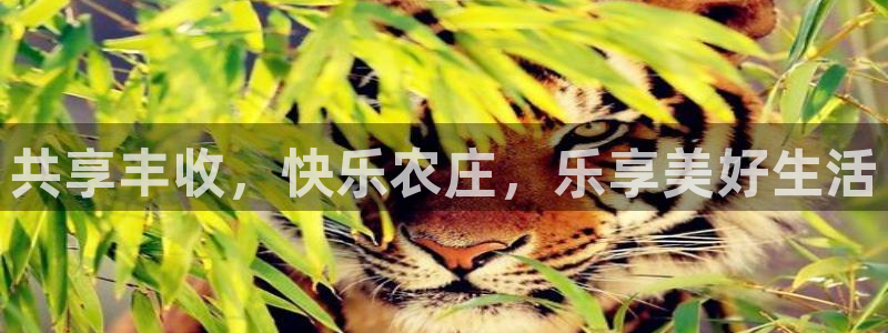 fh至尊平台黑吗