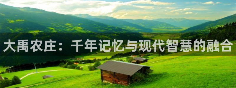 fh至尊是什么平台