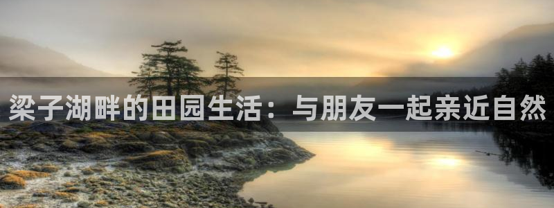 fh至尊版手机app