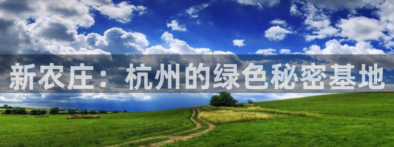 fh至尊提现不了