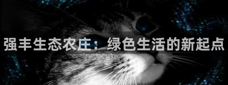 FH至尊娱乐平台