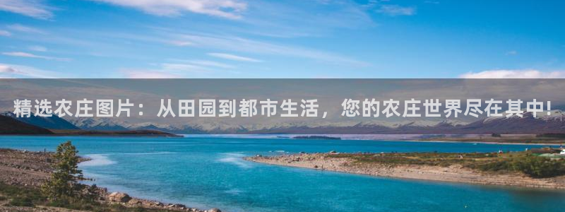 fh至尊官方旗舰店