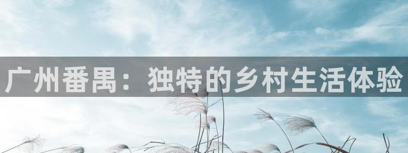 fh至尊平台正常登录