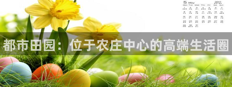 FH至尊平台登录