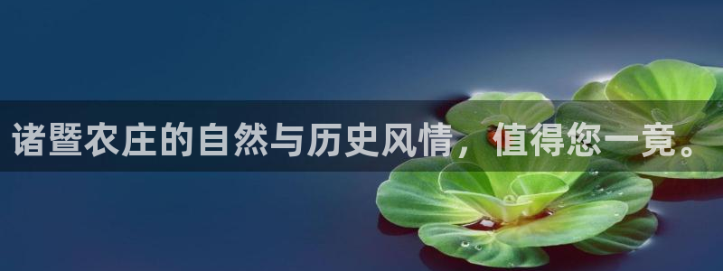 FH至尊是什么意思