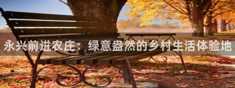 fh至尊平台怎么提现