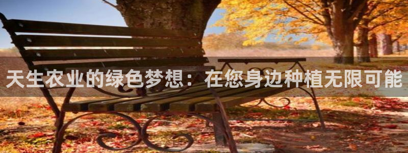 FH至尊平台是什么平台