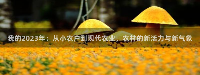 fh至尊网页登入