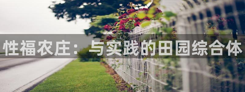 凤凰娱乐FH至尊App