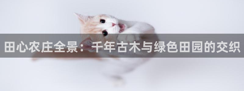 fh至尊怎么注册