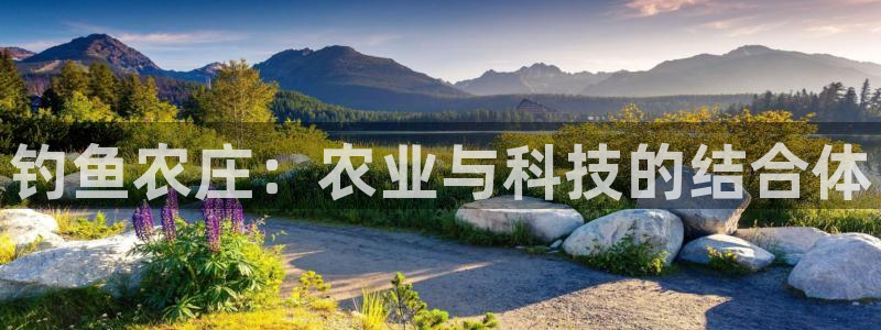 FH至尊开户链接