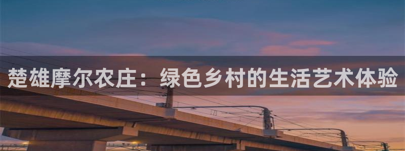 FH至尊隶属哪家公司