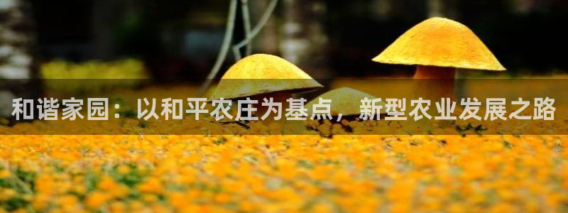 fh至尊注册登陆