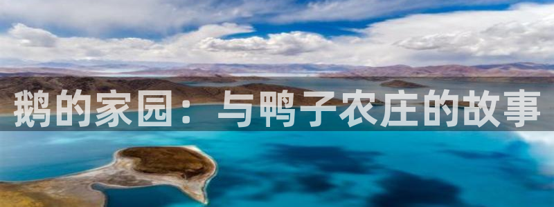 沃尔沃fh500至尊款