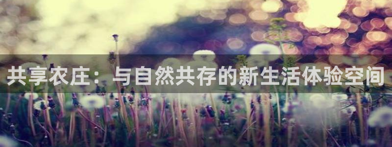 fh至尊平台安全吗