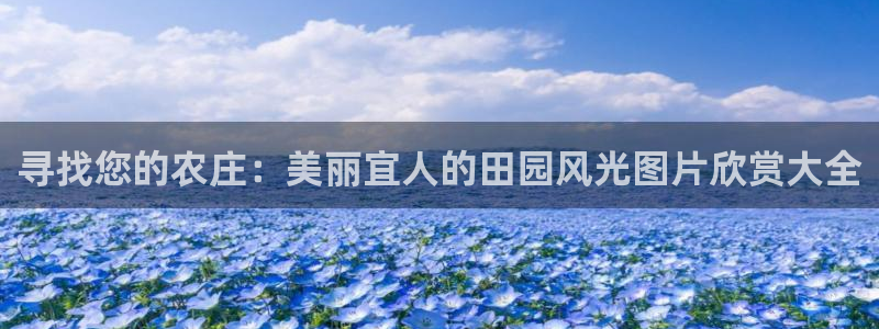 fh至尊是黑台子吗