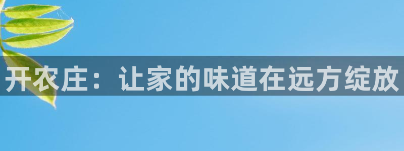 fh至尊官方旗舰店