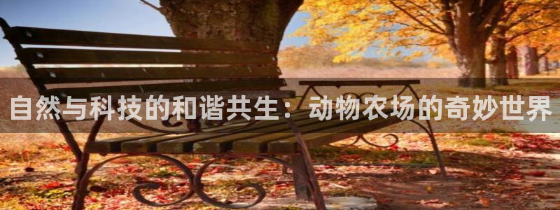 FH至尊平台怎样