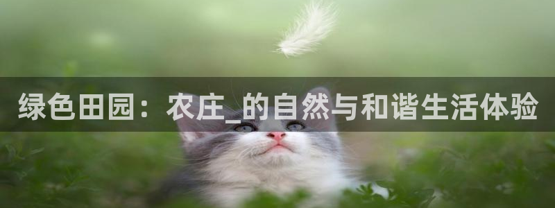 fh至尊平台如何提现