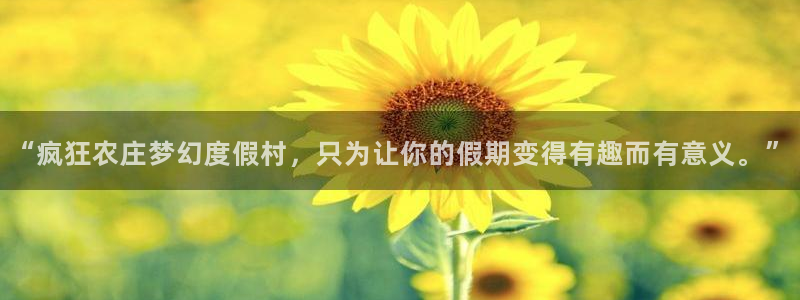 FH至尊是什么